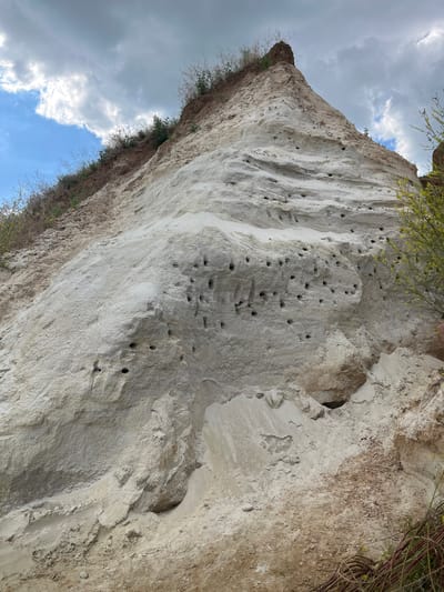 The image depicts a sandy cliff face with numerous bird nests carved into it. The cliff is composed of layered sand and appears to be an erosion feature. Vegetation, including dry grasses and a bush with yellow flowers, grows on the top and along the edges of the cliff. The sky above is partly cloudy with visible blue sky. The scene is located in Samarskoye, Russia. There are no people or animals visible in the image.