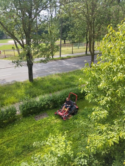 An overhead, high-angle medium shot captures a bald, middle-aged Caucasian man operating a red ride-on lawnmower. He is wearing a dark t-shirt and blue shorts. The man is positioned on the lawnmower, which is in motion, suggesting he is actively mowing the grass. The lawnmower has a red frame and black components. The surrounding environment is a well-maintained residential area or parkland in Ruda Śląska, Poland. Lush green grass covers the foreground, with neatly trimmed hedges lining the left side of the scene. A paved walkway runs alongside the hedges. Behind the lawn, a road is visible with white lines marking the lanes, and beyond the road, there are trees and a sports field with a fence. The overall impression is a serene, daytime scene of routine lawn maintenance.