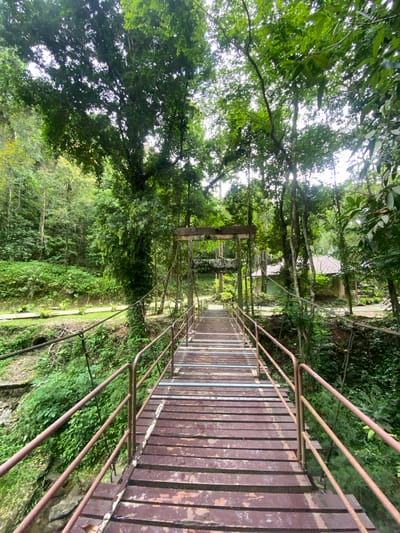 The image depicts a suspension bridge in a lush, green environment, possibly a jungle or forest. The bridge is constructed with wooden planks and metal railings, appearing somewhat aged or rustic. The perspective is from the bridge itself, looking straight ahead. The path beyond the bridge appears to lead to a building of some kind and is enclosed by more green vegetation. The location is identified as Tambon Thai Mueang, Thailand.