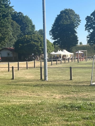 The image depicts a sunny outdoor scene at a park or event space in Niederwald, Germany. In the background, a small building with a red roof is visible, partially obscured by trees. Several white tents are set up on a grassy field, with people gathered underneath and around them. Some individuals appear to be sitting at tables, suggesting a gathering or event. In the middle ground, a series of dark wooden posts with ropes strung between them delineate a section of the field. A tall, grey utility pole stands prominently in the foreground. To the right, a portion of a white soccer goal net is visible. The field itself is covered in green grass, with some patches of drier, brown earth and scattered white wildflowers. The sky is clear and blue.