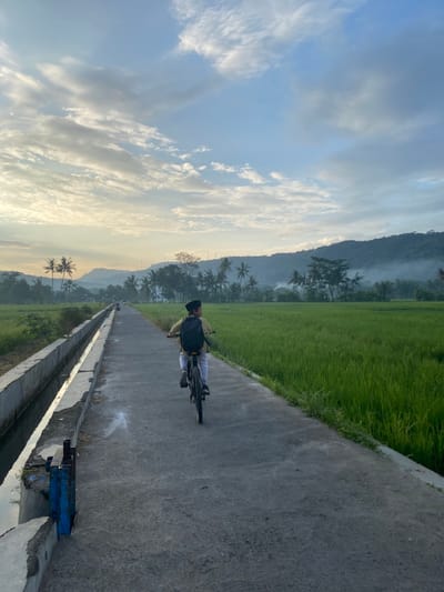 The image presents a serene rural scene in Piyungan, Indonesia, likely captured during the early morning or late afternoon, given the soft, warm light and subtle haze over the distant landscape. A lone person is visible, riding a dark-colored bicycle on a narrow, paved concrete path that stretches into the distance. The cyclist, viewed from behind, wears a light-colored top, dark pants, a dark backpack, and a dark cap or head covering.
To the right of the path, vibrant green rice paddies extend, contrasting with the gray concrete. On the left side, a concrete irrigation canal runs parallel to the path, featuring a small blue-colored mechanism, possibly a sluice gate or pump, in the foreground. The background is dominated by towering mountains or hills, partially obscured by a gentle mist or atmospheric haze. Numerous palm trees are scattered throughout the mid-ground and background, adding to the tropical feel. The sky is expansive, displaying a gradient from light blue at the top to a warmer, yellowish tone near the horizon, dotted with scattered white clouds. The scene conveys a sense of tranquility and an immersive experience of nature and rural life. No visible text is present.