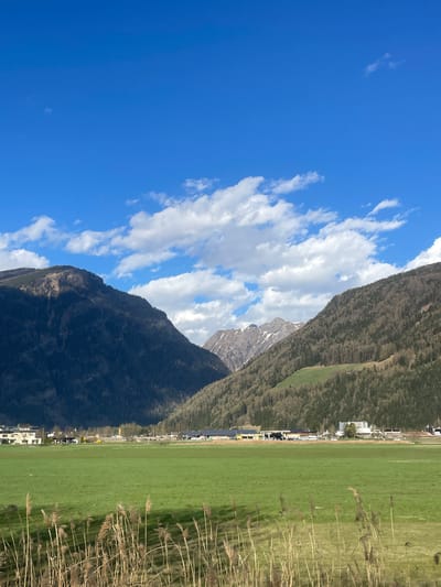The image showcases a vibrant landscape in Sterzing-Vipiteno, Italy. Dominated by a clear blue sky with scattered white clouds on the left side of the image, it contrasts with the dark, forested mountains that fill the center. A green field stretches along the right edge, bordered by tall, dry grasses. A small settlement is nestled between the mountains and the field, hinting at human habitation within this natural setting.