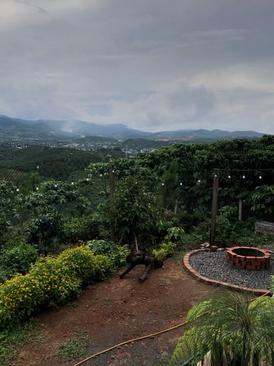 A wide-angle, outdoor, elevated shot captures a hazy, overcast day with a panoramic view of rolling green hills and a distant town. In the foreground, a lush garden area features vibrant yellow flowers, dense green bushes, and a circular brick fire pit filled with dark gravel. String lights with visible bulbs hang between wooden posts, illuminating the garden. A few logs are placed near the fire pit. The background showcases extensive coffee plantations, more dense foliage, and a vast mountainous landscape fading into the misty horizon. A thin yellow hose snakes across the reddish-brown soil in the lower right corner.