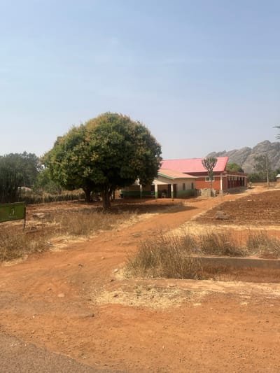 The scene depicts a semi-arid landscape in Hoss, Nigeria, under a clear, pale blue sky. The foreground features reddish-brown dirt pathways with patches of dry, yellowed grass and sparse weeds. A small, green and white sign is partially visible on the left, next to the pathway.
In the midground, two large, verdant trees with dense foliage, possibly mango trees, stand prominently on the left. Behind these trees and to their right, a low-slung building complex is visible. The main section of the building has reddish-brown brick walls and a prominent red-orange corrugated metal roof with a steep pitch. A smaller, attached section to the left features light-colored walls, possibly painted white or cream, with a green trim along the base and a lighter-colored roof, possibly light green or white. A single white plastic chair is visible outside this section, beneath an overhang. Another tall, columnar plant, resembling a euphorbia or a large cactus, stands in front of the brick section of the building.
The ground around the buildings appears disturbed, showing signs of tilled earth or cleared land. There are no visible people or discernible actions occurring within the frame.
The background reveals a range of large, rocky hills or mountains to the right, characterized by exposed grey rock formations. Sparse vegetation, including scattered trees and shrubs, is present further back. The lighting suggests daylight hours, possibly mid-morning or afternoon, with direct sunlight.