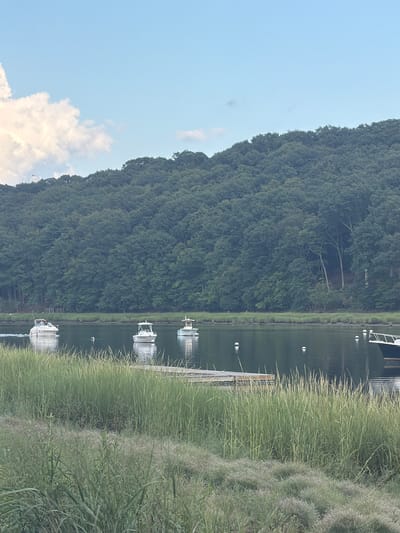 The image shows a body of water with several boats. In the background, a densely wooded hill slopes down to the water's edge. The foreground is filled with tall green grass. The sky above is a light blue with some clouds. On the water, from left to right, there are three white boats, one of which appears to be moving. Further to the right, a portion of a larger boat is visible. There are also several white buoys scattered on the water. A wooden dock or pier is partially visible among the grass on the water's edge. The scene appears to be a serene waterfront view in a natural setting. The location is identified as Village of Bayville, United States of America.