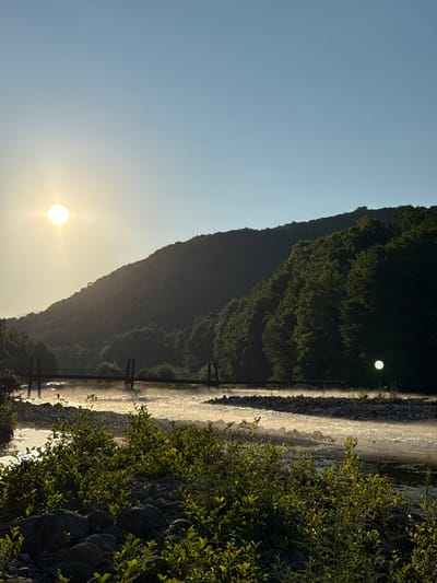 The image shows a natural landscape with a prominent sun low in the sky, indicating either sunrise or sunset. The sun is a bright, glowing orb casting warm light across the scene. In the foreground, dense green foliage grows alongside a rocky embankment, suggesting a natural, perhaps mountainous or hilly, environment. A body of water, possibly a river or a lake, flows or stretches through the scene, its surface reflecting the sunlight, creating a shimmering, dynamic effect.
In the middle ground, a dark, tree-covered mountain or hillside slopes steeply towards the water. The vegetation on the hillside is thick and appears lush, catching the sunlight in places and creating a textured, shadowed appearance. A dark structure, possibly a bridge or some form of infrastructure, spans across the water, with visible supports. The presence of this structure, along with what appears to be a light fixture on the hillside in the background, suggests human presence or development within the natural setting. Another bright light, possibly a reflection or artificial light, is visible on the dark hillside in the distance.
The overall mood of the image is serene and picturesque, illuminated by the warm, golden light of the sun. The clear, pale blue sky further enhances this feeling of peace and natural beauty. The image appears to be taken in a location with significant natural features, with the vegetation and the sun's position suggesting a temperate climate. No text is visible in the image.