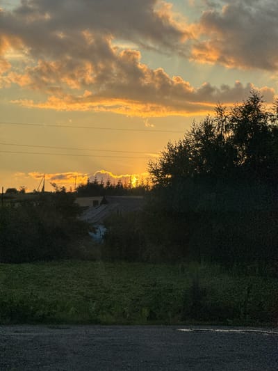A rural scene unfolds at sunset, with the sky painted in hues of orange and yellow, illuminated by the setting sun peeking through clouds. In the middle ground, a cluster of trees, some appearing to be birch trees due to their light bark and feathery leaves, are silhouetted against the bright sky. Among the trees, the roof of a building, possibly a house, is visible, with a glimpse of a lighter colored wall below. The foreground features a dark green, possibly cultivated, field of crops. A gravel path or road occupies the very bottom of the image, with a small puddle or wet patch reflecting the dim light. The setting is the village of Naraiv, Ukraine.