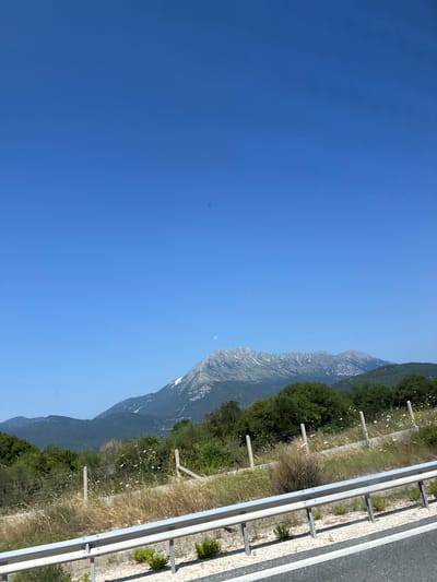 The image captures a vast expanse of clear blue sky over a mountainous landscape. In the foreground, a roadside barrier with white markings is visible, separating the road from a dry, grassy area with sparse vegetation and a wire fence. Beyond the fence, a dense line of green trees forms a natural barrier, leading towards the undulating, layered mountain ranges in the distance. The mountains exhibit a rugged texture, with some areas appearing lighter, suggesting rocky outcrops or patches of snow. The scene is bathed in bright sunlight, casting shadows and highlighting the natural contours of the terrain. There are no people or man-made structures other than the road barrier and fence. The overall impression is one of a rural, natural setting under a cloudless sky.