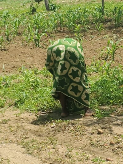 A person, likely a woman, is seen from behind in a seated or crouching position in an outdoor agricultural setting. She is wearing a green cloth with a repeating star pattern. The surrounding environment consists of dry, brown soil with patches of green vegetation, possibly young crops. There are also some small brown objects scattered on the ground, which could be stones or produce. The lighting suggests it is daytime, with shadows indicating the sun is present. The overall scene appears to be a rural farm or garden in Dawaki, Nigeria. The person's activity is not clearly discernible, but the posture suggests she might be working the land, resting, or tending to something on the ground. No text is visible in the image.