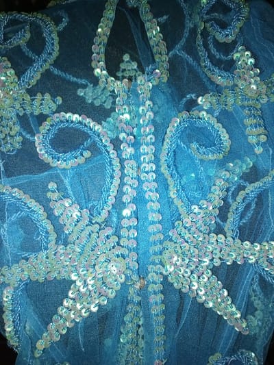 The image presents a close-up, high-angle view of a blue, sheer textile, possibly a garment, heavily embellished. The fabric appears to be a fine mesh or netting, serving as a translucent base. Embellishments consist of numerous small, round sequins and tiny beads, primarily in iridescent light blue, white, and pale pink hues, stitched directly onto the fabric with blue thread.
The embellishments form intricate, symmetrical patterns across the visible surface. A central vertical axis is prominent, featuring columns of tightly packed sequins and beads. Extending from this axis and within the surrounding blue fabric are complex curvilinear designs, including tightly coiled spirals, flowing tendrils, and clusters resembling floral or snowflake motifs. These patterns are created by densely sewn sequins and beads that outline shapes and fill small areas. The sequins exhibit varied reflectivity due to lighting conditions, appearing brighter or duller depending on the angle. The stitching thread is consistent with the fabric's blue tone. No individuals, actions, or specific environmental features are visible, limiting the scope to the textile itself. The location, including the city of Na Sang, Laos, cannot be determined from the visual information provided in the image.