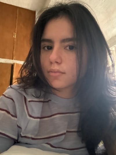 The image depicts a female individual indoors. The subject, a young adult with medium skin tone, dark eyes, and long, dark, slightly wavy hair, is shown in a close-up, facing directly towards the camera with a neutral expression. She is wearing a light blue, long-sleeved t-shirt with thin horizontal stripes in white and dark red/maroon. Her left shoulder and arm are visible, while her right side is partially obscured by her hair. In the immediate foreground, a white, soft surface, likely a pillow or bedding, is visible. The background on the left consists of stacked, rectangular, brown wooden or laminate panels, possibly cabinet doors, against a light-colored wall. The upper right background shows a bright light source, illuminating the subject's hair on that side. There are no discernible visual cues within the image to identify its specific location within the city of Santiago, Mexico.