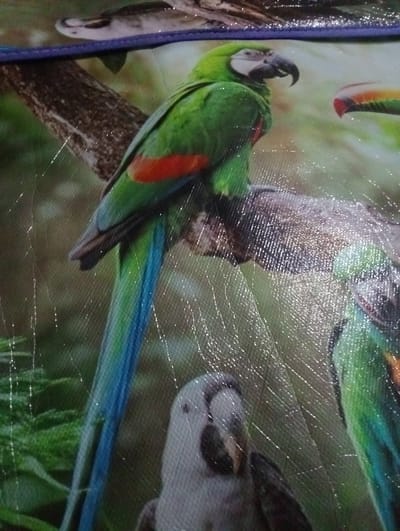 The image depicts a printed fabric or item with a design featuring several birds, likely in a tropical setting. The most prominent bird is a green macaw perched on a branch, with a distinctive red patch on its wing. There are also images of other birds, including a toucan (only part of the beak is visible) and a grey parrot. The image has a glossy, reflective surface, possibly due to a coating or the material of the item. The setting within Pulorayeuk, Indonesia, is undetermined.