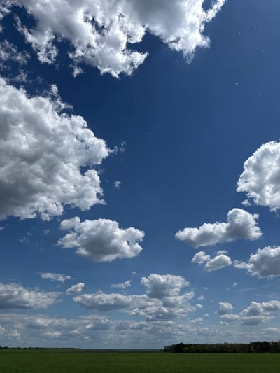 The image presents a vast, open landscape primarily dominated by a clear blue sky filled with numerous white and grey clouds. The sky occupies the upper two-thirds of the frame, showcasing a deep azure color that appears lighter and somewhat hazy closer to the horizon line.
Scattered throughout the sky are various cumulus clouds, ranging from bright, fluffy white masses illuminated by direct sunlight to more substantial formations with darker, shadowed undersides, indicating their depth and volume. Some clouds are distinct and isolated, while others are more widespread and wispy.
The lower third of the image depicts a horizontal strip of lush green, which appears to be a cultivated field or a large meadow. Above this green expanse, a dark, dense line of trees forms the horizon, suggesting a forest or wooded area in the distance.
The scene captures a bright, sunny daytime, likely late morning or early afternoon, given the strong illumination and the appearance of fair-weather clouds. There is no visible activity, people, or distinct objects other than the natural elements of sky, clouds, field, and trees. No text is visible. The landscape suggests a peaceful, expansive rural or semi-rural setting, consistent with the agricultural regions around Balakliya, Ukraine.