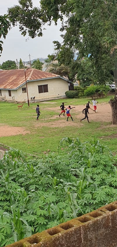 The media file captures an outdoor scene in Anguldi, Nigeria, likely during daylight hours given the bright illumination and shadows. The setting appears to be a grassy field adjacent to a building with a rusted tin roof. A cluster of lush green plants, possibly cassava, occupies the right side of the frame.
Several individuals, appearing to be young people, are engaged in what looks like a game of soccer or a similar activity. One person is dressed in white and red, another in black, and a third in blue and red. Their postures suggest movement and interaction within the game. In the foreground, near the building, two dogs are visible, one appearing to be a light brown color.
The building is light-colored with dark-framed windows and a simple, functional design. The overall atmosphere seems casual and active, with the subjects focused on their game. No discernible text is present in the image. The time of day is likely afternoon, given the angle of the shadows cast by the people. The weather appears to be clear and warm. The presence of the building, the vegetation, and the casual attire of the individuals all contribute to the context of a residential or community area in Nigeria.