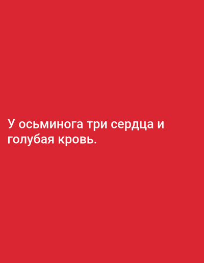 The image contains Russian text on a solid red background. The text reads: "У осьминога три сердца и голубая кровь." This translates to "An octopus has three hearts and blue blood." There are no people, objects, actions, interactions, or environmental details present in the image, and therefore no information is available about the city of Yazy, Turkmenistan.