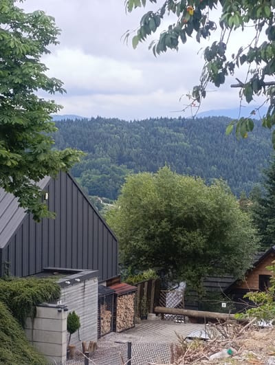 The image depicts a scenic view from a residential area in Myślenice, Poland, with a focus on a modern dark-colored house in the foreground. The house has a steeply pitched roof and a ribbed siding facade. Adjacent to it is a smaller, lighter-colored building with horizontal siding, possibly an annex or storage shed. A stack of neatly arranged firewood is visible next to this building.
Further back, a dense forest covers rolling hills that stretch into the distance. The sky is overcast, with layers of clouds. Lush green trees frame the scene on the left and right, with some branches and leaves extending into the frame from the top. In the mid-ground, another wooden house with a dark roof and windows is partially visible. The overall impression is one of a tranquil, nature-immersed setting, characteristic of areas bordering mountainous or heavily forested regions. The presence of a bottle in the lower right corner suggests it is an outdoor space.