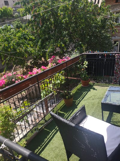 The image captures a vibrant outdoor balcony or terrace in Bukovo, Bulgaria, under bright, sunny weather, likely mid-day to late afternoon as indicated by strong shadows. No people are visible.

The scene features a small, well-maintained balcony with artificial green turf flooring. A black metal railing encloses the space, adorned with brown planter boxes overflowing with bright pink flowers. Inside the railing, two potted plants sit on the turf: one with green foliage and another, a cactus, in a terracotta pot. Outdoor furniture, including a black wicker chair with a white cushion and a glass-top table, suggests a space for relaxation or dining. Clothes are hanging to dry on a line strung across a section of the railing, secured with colorful clothespins, indicating daily domestic life.

Beyond the balcony, a lush, verdant landscape dominates the view. Numerous trees with dense green foliage, possibly cherry trees with small fruits visible in some areas, create a natural barrier. Interspersed among the trees, parts of residential buildings with brick and light-colored facades are discernible. Electrical wires stretch horizontally across the upper portion of the frame, and a glimpse of a car can be seen through the foliage in the distance. The overall impression is one of a peaceful, green urban or suburban setting. There is no visible text in the image.