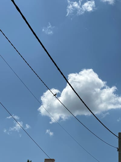 The image shows a low-angle view of a bright blue sky with scattered white clouds. Four black power lines diagonally cross the frame. A bird is perched on one of the power lines in front of a large, fluffy white cloud. A portion of a utility pole is visible in the upper right corner. The location, Aprilovo, Bulgaria, is not identifiable in the visual content.
