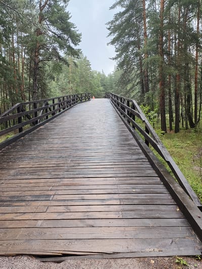 The image shows a wet wooden bridge in a forest. The bridge is made of dark wood planks and has dark wooden railings on both sides. The forest consists of tall pine trees with green needles. The sky is overcast and appears to be cloudy. In the distance, on the bridge, there is a small figure wearing an orange shirt. The bridge appears to be in Yuzhnyy, Russia.