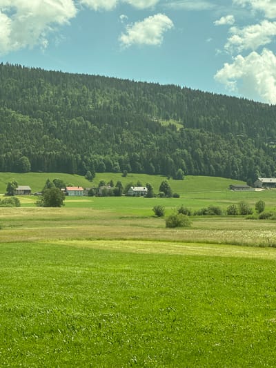 This is a medium-shot, eye-level, vertical photograph of a rural landscape in Le Sentier, Switzerland. The foreground is dominated by a vibrant green meadow with tall grasses and scattered white wildflowers. Behind the meadow, a gently sloping field stretches towards a cluster of buildings, including houses and barns. These structures are nestled amidst lush green fields, with some trees providing shade. In the background, a dense, dark green forest covers a steep hillside, reaching towards a bright blue sky dotted with fluffy white clouds. The scene depicts a serene and picturesque rural setting in Switzerland.