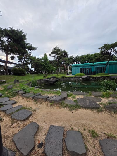 This is a photograph of a serene park scene, oriented vertically. The foreground is dominated by a sandy path lined with large, dark, irregular stones, interspersed with patches of green grass. Beyond the path, a tranquil pond reflects the sky and surrounding trees.
To the left of the pond, a vibrant turquoise building stands, its facade featuring dark louvered windows. A lush green lawn stretches between the building and the pond, with several tall, mature pine trees casting shadows. The trees are characteristic of the Buyun-ri region in South Korea. The background reveals more greenery and hints of other structures.
The sky is overcast with soft, diffused light, suggesting it is either early morning or late afternoon, or a day with predominantly cloudy weather. No people are visible in the frame, contributing to the peaceful and contemplative atmosphere of the location. The overall impression is one of natural beauty and quietude within a park setting.