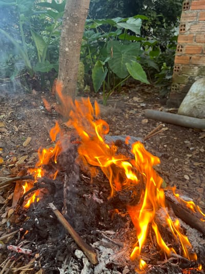 Flames lick upward from a pile of charred wood and ash. A small log rests partially submerged in green foliage, positioned near the fire's edge. Adjacent to the greenery lies a gray pipe and a brick structure. The ground surrounding the fire is scattered with leaves and debris.