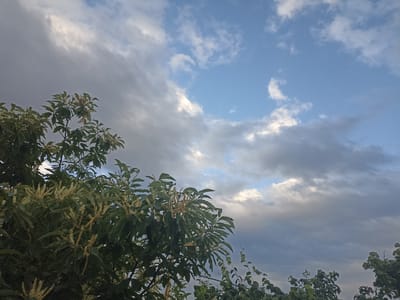 In Gusar, Azerbaijan, this image captures a natural scene of tree branches with green leaves and developing catkins against a sky with scattered clouds. The foliage, predominantly on the left side of the frame, is dense, with some branches extending upwards. The sky above displays a mix of blue patches and gray clouds, suggesting variable weather conditions. The bottom right corner shows a glimpse of additional tree tops.