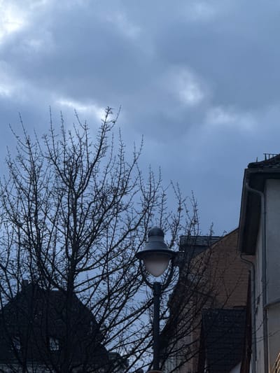 The image displays an urban scene in Bad Nauheim, Germany, under an overcast sky. The upper portion of the frame is dominated by a dense, uniform grey-blue cloud layer. A large deciduous tree with a network of bare, dark branches occupies the left and central foreground, silhouetted against the sky. A dark-colored street lamp with a traditional bell-shaped luminaire and a frosted white globe is positioned in the mid-right, partially obscured by the tree's branches. To the far right, the upper facade of a building with a light-colored wall, a dark tiled roof, and a prominent metal gutter system is visible. Additional building structures, including a reddish-brown brick facade and dark pitched roofs, are discernible through the tree canopy in the background. No individuals or discernible activities are present in the frame.