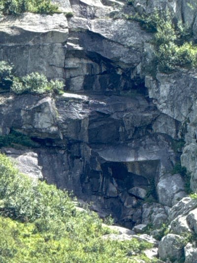 The image shows a close-up view of a rocky cliff face with patches of green vegetation. The rocks are a mix of grey and dark tones, with visible layers and crevices. The vegetation consists of dense green bushes and some smaller plants growing in and around the rocks. The lighting suggests it is daytime, with shadows indicating the presence of sunlight. The scene appears to be a natural landscape, likely a mountainous or hilly area. There are no people, animals, or man-made structures visible in the image. The detail is such that it might be a photograph taken with a zoom lens. The scene depicts a rugged, natural environment.