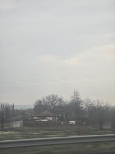 This image depicts a static, exterior scene in Opalchenets, Bulgaria, under an overcast sky. In the immediate foreground, a blurred dark gray metal guardrail runs horizontally across the bottom of the frame, above a strip of ground featuring sparse, muted green and brown vegetation. The midground contains a cluster of multiple residential-style buildings, primarily single-story, with light-colored, possibly white or off-white, facades and distinct reddish-brown tile roofs. These structures are situated among numerous bare deciduous trees, indicative of winter or early spring. Three horizontal utility lines are visible crossing the upper midground. A white sheet or textile item is draped or hung outdoors near one of the buildings on the right side of the midground. The background consists of a distant, indistinct treeline and faint, low-lying hills under the uniform gray sky. No human or animal subjects are present, and no overt actions or interactions are depicted.