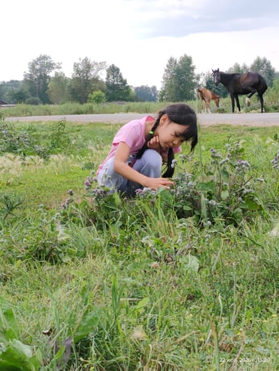 In a grassy outdoor scene, a young girl with dark braided hair and green hair ties is crouched, wearing a pink t-shirt and blue pants. She is looking down at a patch of thistle plants. In the background, two horses are standing on a dirt road, one adult dark brown horse and a smaller brown foal. Trees and a cloudy sky are visible behind the horses. The lower right corner of the image contains a timestamp: "22 июля 2026 г., 15:20". The location is stated as Viktorevka, Kazakhstan.
