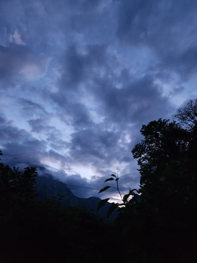 The image shows a landscape at twilight, possibly in a mountainous area. The sky is filled with heavy, dark clouds, suggesting an overcast or stormy weather. Silhouetted trees and vegetation frame the top and bottom of the image, adding depth and suggesting a vantage point within a natural setting. In the mid-ground, a mountain or hill partially obscured by mist or low clouds can be seen. Due to the limited visibility and specific details, definitively confirming that this image is of Altdorf (UR), Switzerland, is impossible. However, the general characteristics of the landscape are consistent with the region.