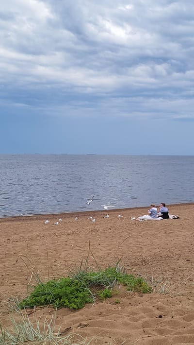 The media file displays a beach scene with two people and several seagulls. The setting is a sandy beach bordering a large body of water, likely a lake or sea. The sky is partly cloudy with soft, white clouds against a pale blue background. The water is calm and reflects the sky.
Two individuals are the main human subjects. One person is wearing a blue shirt and dark pants, while the other is dressed in a white top and pants. They appear to be sitting or kneeling on the sand, facing the water. Their interaction seems relaxed and casual, possibly enjoying a day out.
Numerous seagulls are present on the sand and in the air. Some are walking or standing on the beach, while others are captured in mid-flight, their wings spread. Their presence suggests a coastal or lakeside environment. Green vegetation, including grass and other plants, grows in patches along the edge of the sand. The overall lighting suggests it could be daytime, with the sun illuminating the scene. The atmosphere appears peaceful and serene. No visible text is present in the image. The location context is Ushkovo, Russia, which is consistent with a beach and water setting.