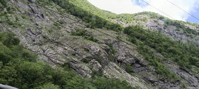 The image shows a steep, rocky mountainside covered in patches of green vegetation, primarily trees and shrubs. Several dark, horizontal cables traverse the scene diagonally, suggesting the presence of a cable car system or power lines. The rock face is characterized by distinct layers and fractures, indicating geological activity. The lower part of the image features denser foliage, with lush green trees growing at the base of the mountain. The sky above is partially cloudy, with patches of blue visible. The scene appears to be a natural landscape in Golling an der Salzach, Austria, likely captured from a moving perspective, possibly from within a cable car or a vehicle traveling nearby. There are no people or animals visible in the frame.