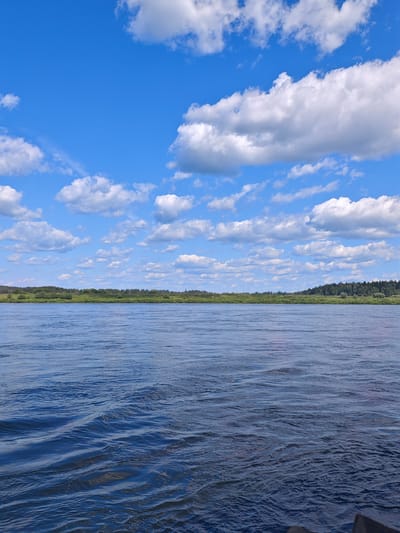 A wide river flows under a bright blue sky dotted with fluffy white clouds. The river occupies the majority of the frame, with gentle ripples disturbing its dark blue surface. In the distance, a lush green shoreline is visible, lined with trees and vegetation, suggesting a natural, unpopulated area. The scene is serene and expansive, with no people or man-made structures immediately apparent. This landscape is characteristic of the natural beauty found in regions like Vysokogorskii, Russia, known for its rivers and forests.