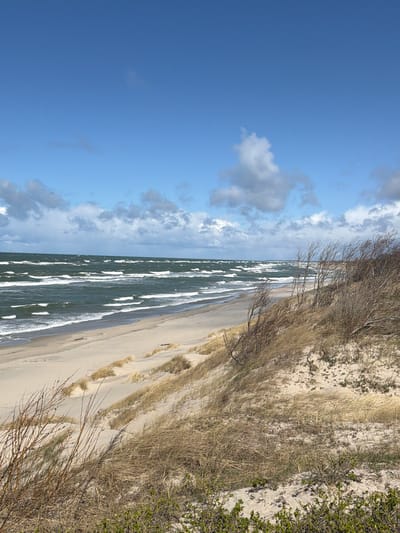 The image captures a coastal scene, likely taken in the city of Lesnoy, Russia, given the prompt. The view encompasses a sandy beach adjacent to the sea, with a partly cloudy sky overhead. The beach transitions into a dune area with sparse vegetation and dry grasses. The sea is visible, with prominent waves and sea foam patterns, suggesting a somewhat windy day. The absence of people or any readily discernible human activity indicates a remote or unoccupied location.
