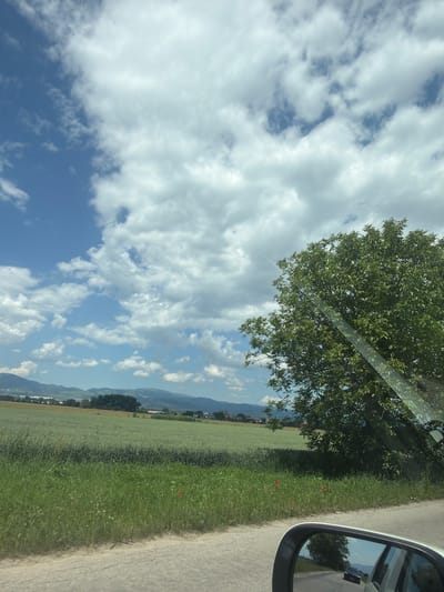 A wide shot captured from a moving vehicle shows a lush green field and a large tree with vibrant green leaves under a partly cloudy sky. The field is divided into two sections, with the lower half appearing as taller grass and the upper half as shorter, cultivated crops. A glimpse of red poppies can be seen among the taller grass. In the distance, rolling hills and a small cluster of buildings suggest a rural village. The side mirror of the vehicle reflects a road and a dark-colored car driving behind. The scene is set in the city of Musachevo, Bulgaria, indicating a countryside setting.