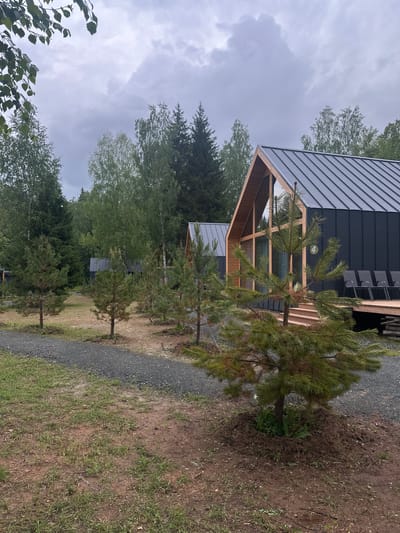 The image depicts a cluster of modern, dark-colored, angular cabins with wooden accents, set within a wooded area with a gray, overcast sky. A gravel pathway runs through the foreground, with several young pine trees planted along its edge. In the middle ground, more trees, including birch and evergreen varieties, are visible. One of the cabins, numbered "4," features a large window and a wooden deck with several dark chairs. The ground is a mixture of dirt, grass, and gravel. The scene appears to be a tranquil, natural setting, possibly a resort or a village, located in Novaya Vozhoika, Russia, based on the provided location context.