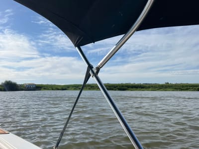 A forensic description of a waterscape captured from within a boat near Coruche, Portugal. The immediate foreground features a black fabric boat canopy supported by two polished metal poles that intersect centrally. A dark strap descends from the canopy structure toward the lower-left, where a section of the white boat hull with a brown-toned deck trim is visible. The midground consists of a body of water with numerous small ripples, exhibiting a greenish-brown hue. The distant background presents a flat horizon line defined by a dense expanse of low-lying green vegetation. A small, weathered, light-colored structure with a dark roof is situated on the distant left bank, partially hidden by brush. The sky is bright blue with scattered white cirrus clouds. No persons or direct actions are depicted.