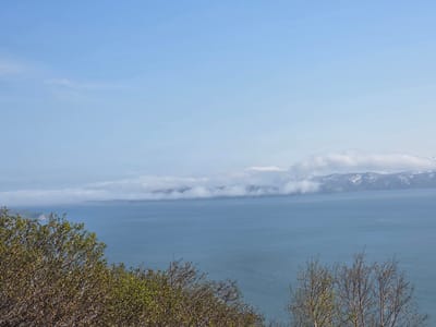 An expansive, tranquil blue body of water stretches across the horizon, meeting a hazy, distant shoreline. The water's surface is slightly rippled, reflecting the soft, pale blue of the sky above. A low-lying band of white clouds hovers just above the water, obscuring the base of snow-capped mountains that rise in the distance. In the foreground, the branches of deciduous trees, some bare and others adorned with sparse new green leaves, frame the scene. The overall impression is one of serene, natural beauty. This image is likely captured from an elevated position, offering a panoramic view of the coastal landscape near the city of Krutoberegovyy, Russia.