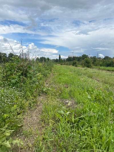 The image shows an overgrown path through a field of tall grass and wildflowers. In the background, there are trees, a modern multi-story building, and industrial structures with smokestacks. The sky is cloudy with patches of blue. The scene appears to be located on the outskirts of a developed area, possibly on the edge of the city of Krasnenskoye, Belarus, given the presence of both natural and industrial elements. There are no people or animals visible in the frame.