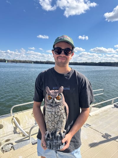 A male individual stands centered on a light-colored modular floating dock, facing forward and smiling faintly. He wears a dark t-shirt, light blue shorts, dark sunglasses, and a dark green baseball cap with a red and white logo. A ring with a dark stone is visible on his left ring finger. He holds a large, realistic owl figurine, brown and grey with orange eyes and ear tufts, supported by a tree stump-like base, in front of his torso with both hands. Behind him is a wide body of calm, blue-green water with a distant treeline forming the far bank. Several small sailboats with white sails are visible in the distance on the water. The sky above is clear blue with scattered white cumulus clouds. The scene is illuminated by bright daylight. The location is a waterfront area within the city of Micanopy, United States.