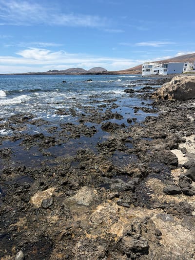 The image presents a bright, sunny coastal landscape in Haría, Spain, featuring a rugged volcanic shoreline, the ocean, distant buildings, and mountains under a clear blue sky.

In the foreground, the scene is dominated by dark, porous volcanic rock formations. Many of these rocks are partially submerged, creating shallow, clear tide pools where water reflects the bright sky. The texture of the rocks is rough and uneven, with varying shades of dark grey, black, and some lighter, earthy patches. Small patches of white foam from the receding waves are visible among the rocks.

Beyond the immediate shoreline, the ocean extends, characterized by blue water and gentle waves breaking with whitecaps. The water appears dynamic yet calm.

In the mid-ground and background, a cluster of modern, whitewashed buildings with multiple levels and windows are visible. These structures are nestled against the lower slopes of arid, brownish mountains that rise gently from the coast. The mountains are low-lying with a dry, sparse appearance, typical of a volcanic landscape.

Above the landscape, the sky is a vibrant clear blue, with a few thin, wispy white clouds scattered across it, suggesting a pleasant day. The overall impression is one of a tranquil, sunny day at a rugged and picturesque coastline. There is no visible text in the image.