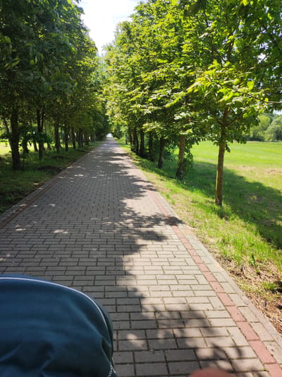 A straight paved walkway with a red brick border extends into the distance, lined on the left by a row of trees with lush green foliage and on the right by a grassy field. The sun casts dappled shadows from the trees onto the walkway. In the foreground, the dark blue fabric of a garment or seating cushion is visible, obscuring the lower portion of the image. The setting appears to be a park or recreational area within the Квасоўскі сельскі Савет, Belarus.