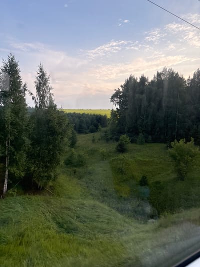 The image shows a landscape scene with a cloudy sky and a forest. There are tall trees with dark green foliage. In the foreground, there is a grassy slope. In the background, a field of yellow flowers can be seen behind the trees. The overall impression is that of a natural, rural environment. There are no people or man-made structures visible, except for a thin black wire running diagonally across the top right of the image. The scene is captured in daylight, likely during the late afternoon or early evening given the warm light on the clouds. The location in Bayangar, Russia, is consistent with a rural landscape with agricultural fields and forests.