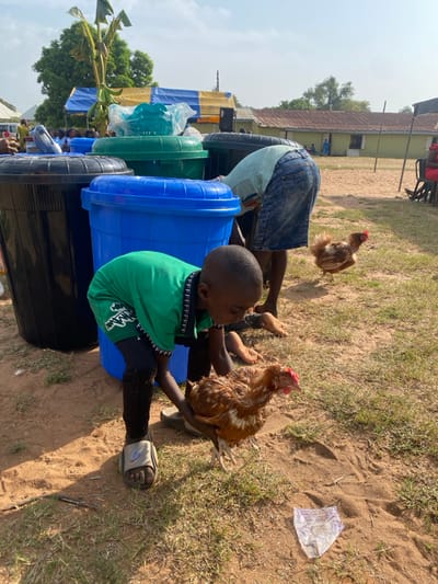 The image displays an outdoor scene in Itobe, Nigeria, under a bright, clear sky. In the immediate foreground, a young child, dressed in a green t-shirt, dark leggings, and light-colored sandals, is crouched down, holding a brown chicken with both hands. The chicken exhibits reddish comb and wattle. A crumpled, translucent plastic wrapper rests on the sandy ground to the right of the child. Behind the child are three large plastic cylindrical bins with lids: one black on the left, one blue in the center, and one green partially obscured behind the blue. An individual wearing a light-colored shirt and denim shorts is bent over near the blue bin, with only their lower back and legs visible. A second, smaller brown chicken is observed walking on the sandy and grassy ground in the mid-ground to the right. In the background, a large blue and yellow striped tent is visible, adorned with green foliage at its peak. Behind the tent and to the far right are several single-story buildings with light-colored walls and corrugated metal roofs. A large tree with dense green foliage stands in the far background to the left. The ground surface is a mix of dry, light-brown earth, sand, and sparse patches of green grass.