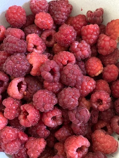 A close-up, overhead shot shows a bowl filled with ripe raspberries. The berries are a vibrant red and pink color, with some showing slight variations in ripeness. They are tightly packed together, with some appearing slightly bruised or misshapen. The background is a light, textured surface, possibly a countertop or bowl. There are no people or animals visible in the image. The image does not contain any information about Ventsy, Russia.