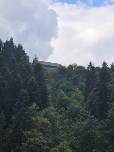 An overhead shot captures a building nestled amongst a dense forest on a cloudy day in Neckertal, Switzerland. The building, with its dark, sloped roof, sits atop a hill, partially obscured by the lush green of tall evergreen trees. The sky above is a mix of white clouds and patches of blue, suggesting a partly cloudy atmosphere. The surrounding environment is dominated by the dense foliage of the forest, with varying shades of green indicating different tree types and depths. No people are visible in the image.