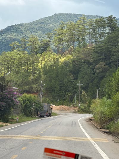 The image shows a paved, winding road with yellow and white markings, suggesting a rural or mountainous area. The road is flanked by lush green vegetation, including dense trees and tall grasses. In the background, a verdant, tree-covered mountain slopes upwards towards a cloudy sky. A dark-colored truck is parked on the side of the road, near a cluster of purple flowers and power lines. The overall scene depicts a natural landscape with elements of infrastructure. This image is located in Tu Póh, Vietnam.