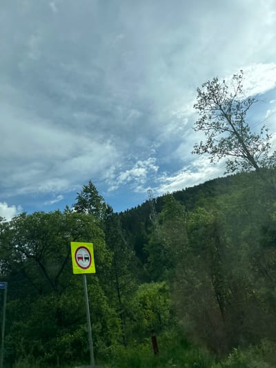 The image captures a traffic sign in a rural setting, likely in the city of Closed administrative–territorial formation "Mezhgorye", Russia, given the context provided. The sign, a yellow square with a red circle and two red car outlines inside, indicates a prohibition against overtaking. It is mounted on a silver pole, positioned against a backdrop of lush green trees and a cloudy sky. The trees form a dense forest that climbs a hillside in the background, where a power line pylon is also visible. The overall scene suggests a natural, outdoor environment.